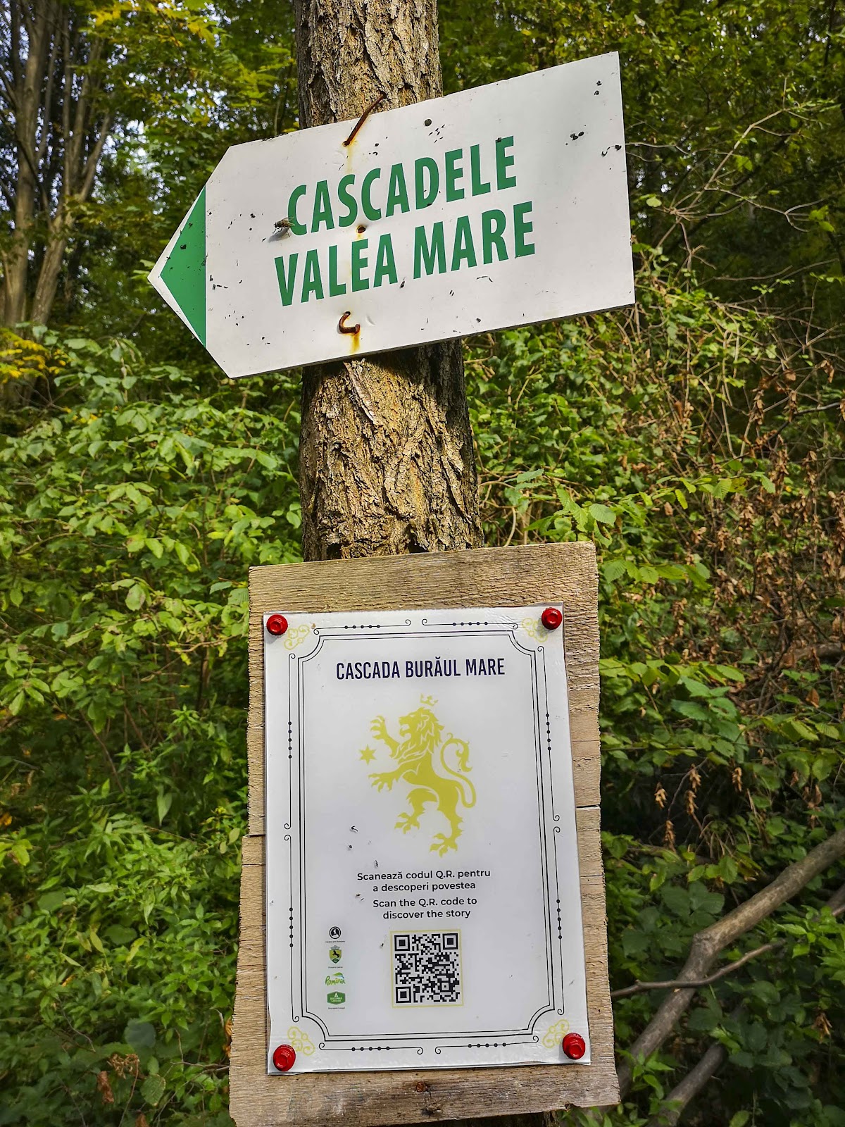 Cascada Burăul Mare - foto 3