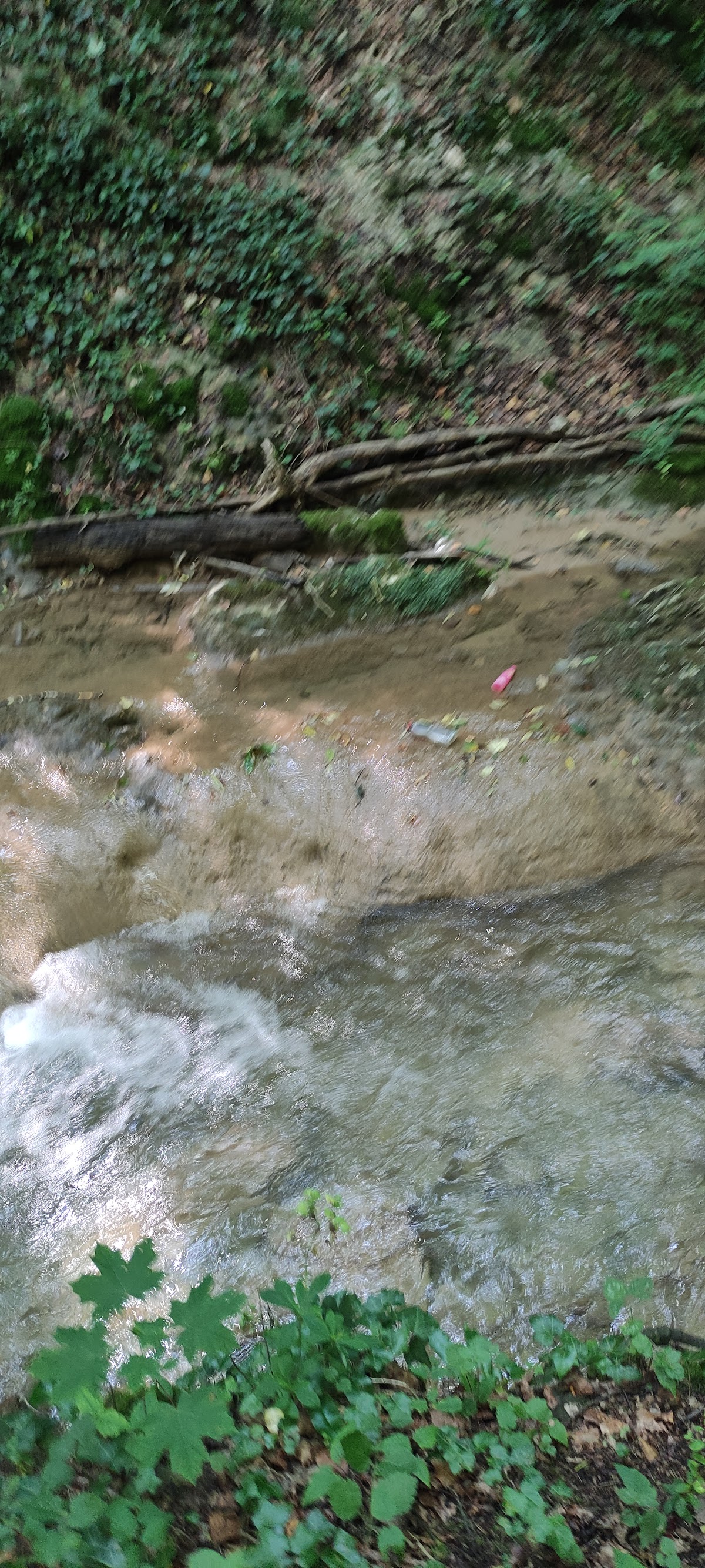 Cascada Burăul Mare - foto 4