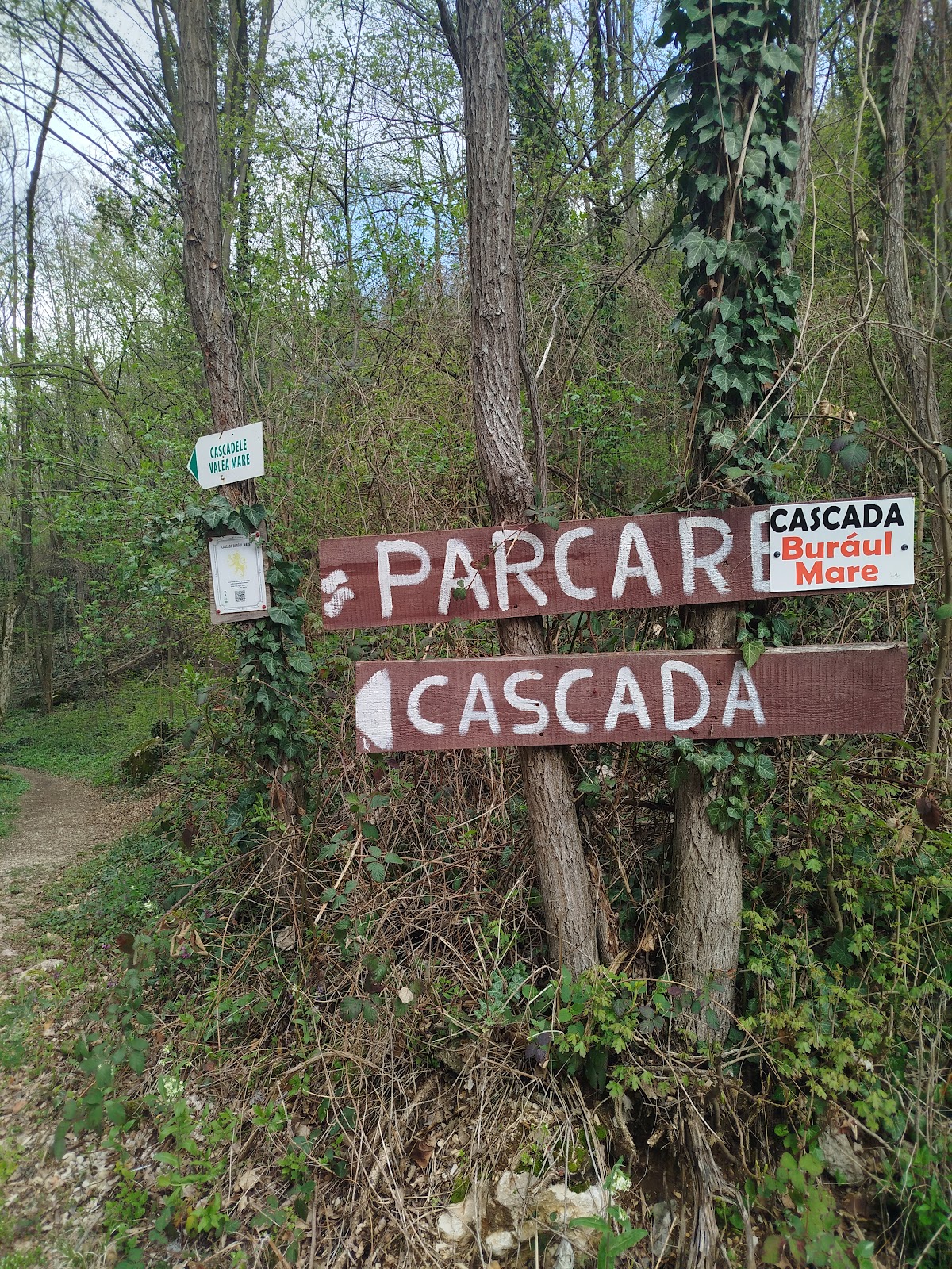 Cascada Burăul Mare - foto 5