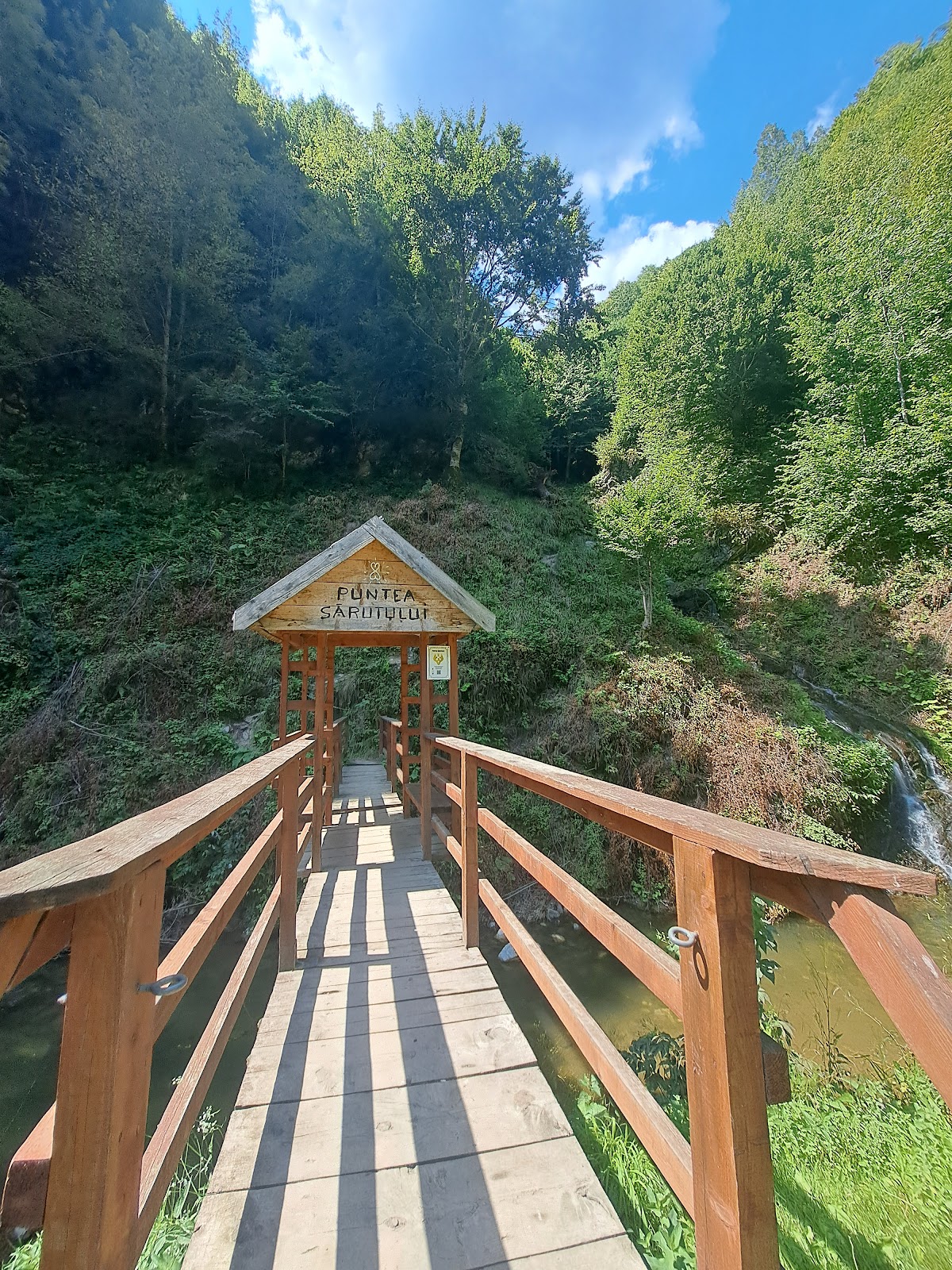 Cascada Cheilor - foto 3