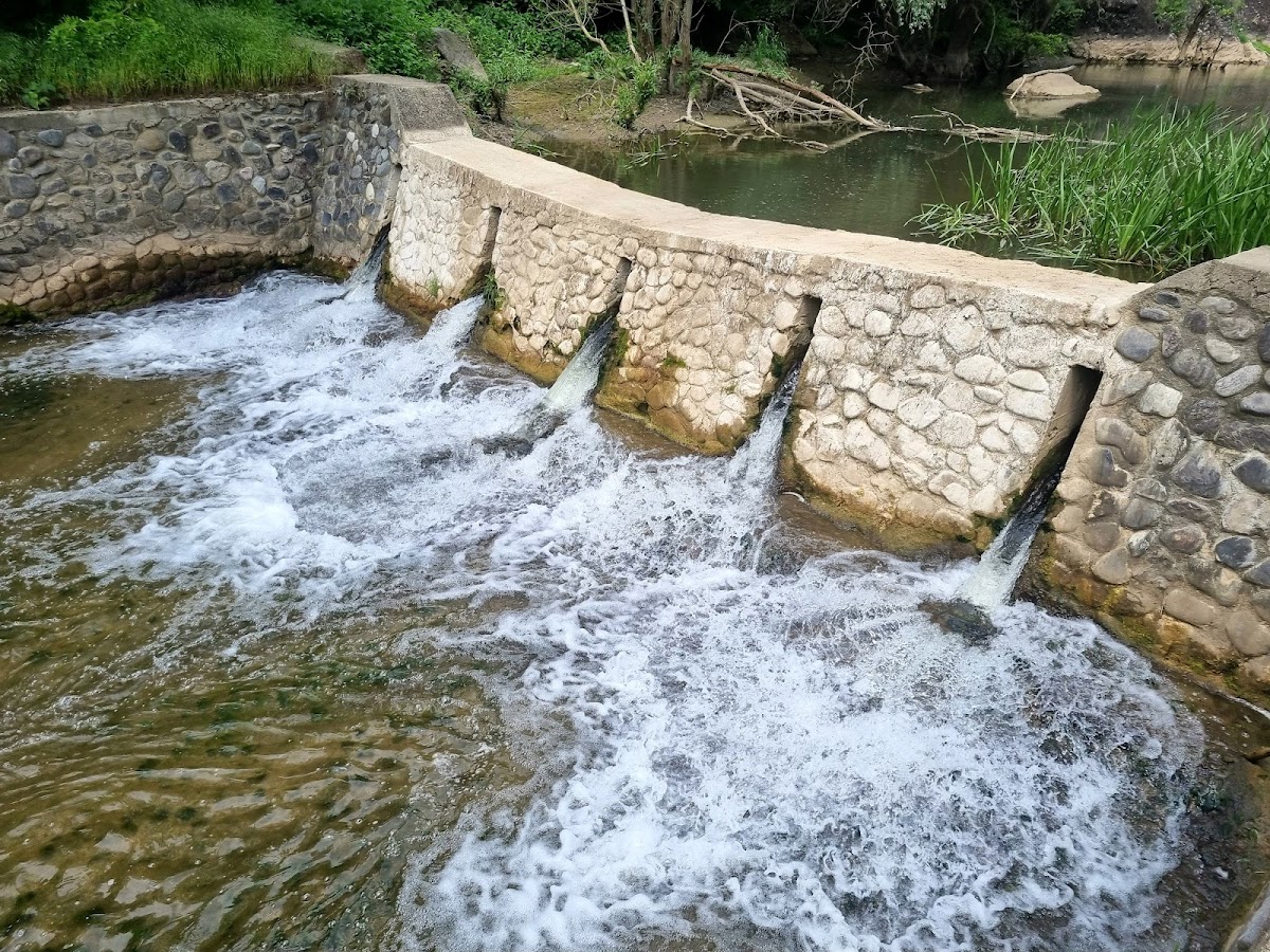 Cascada Ciucaș - foto 4