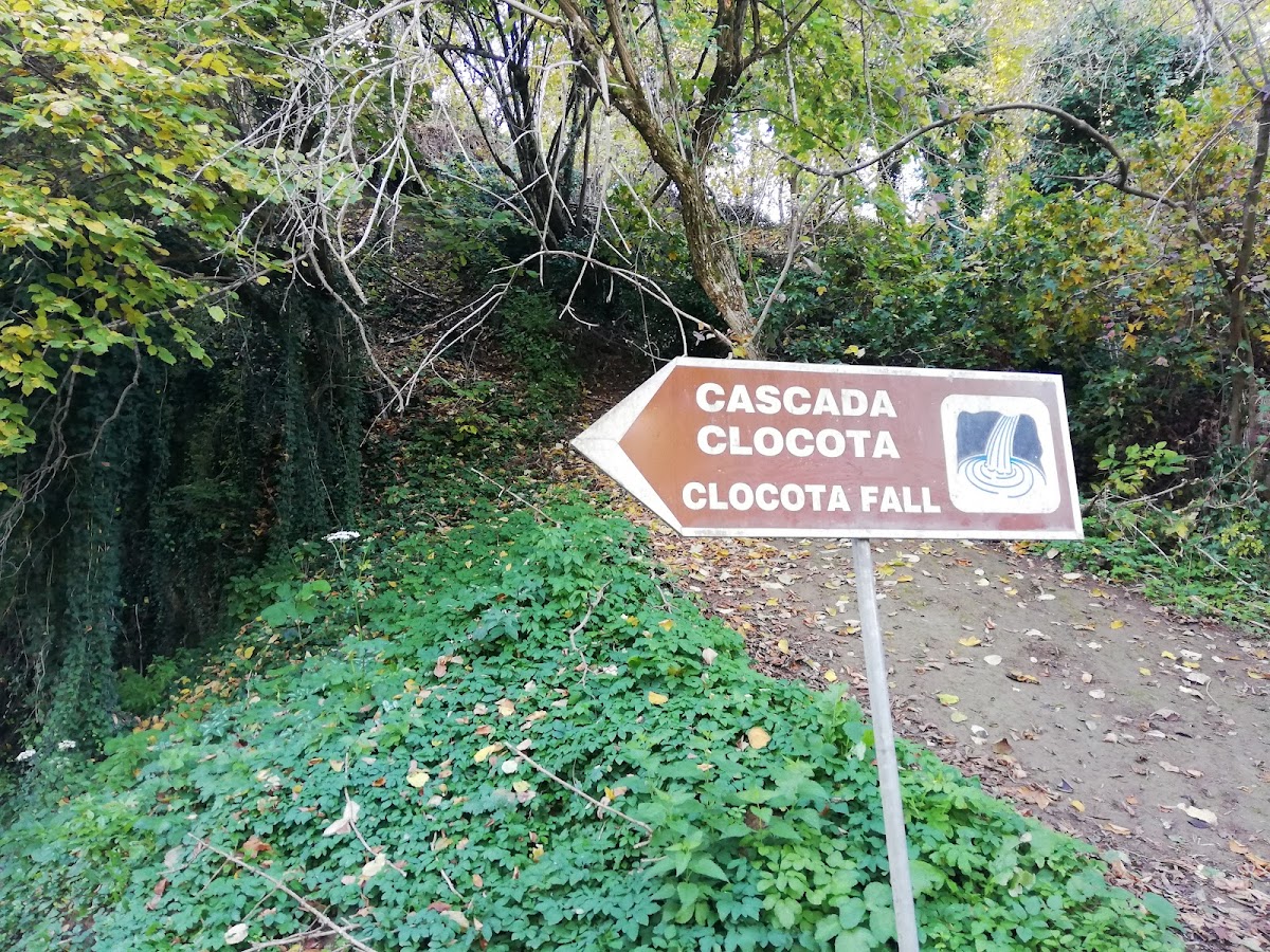 Cascada Clocota - foto 3