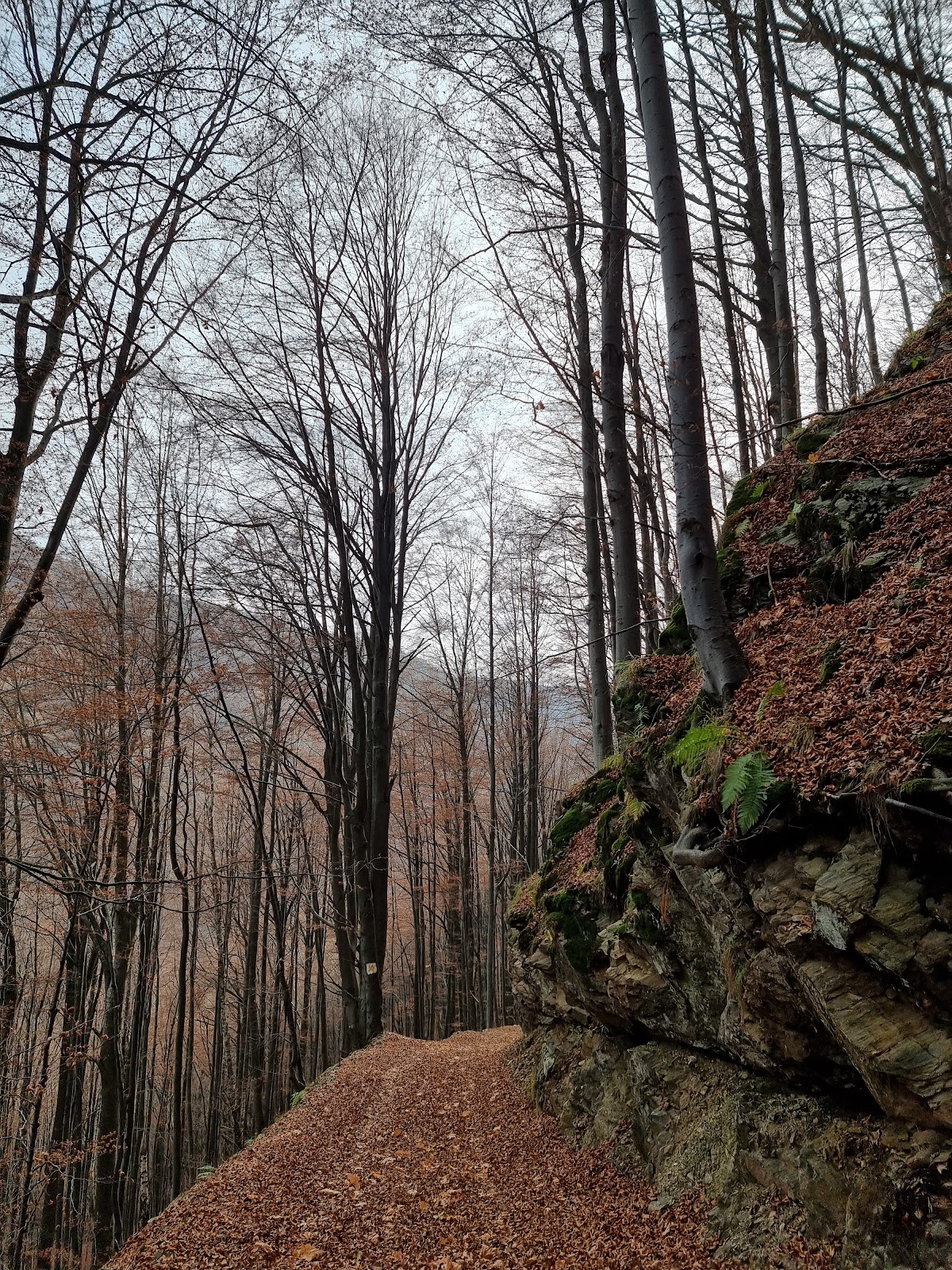 Wolfspass-Wasserfall - foto 2