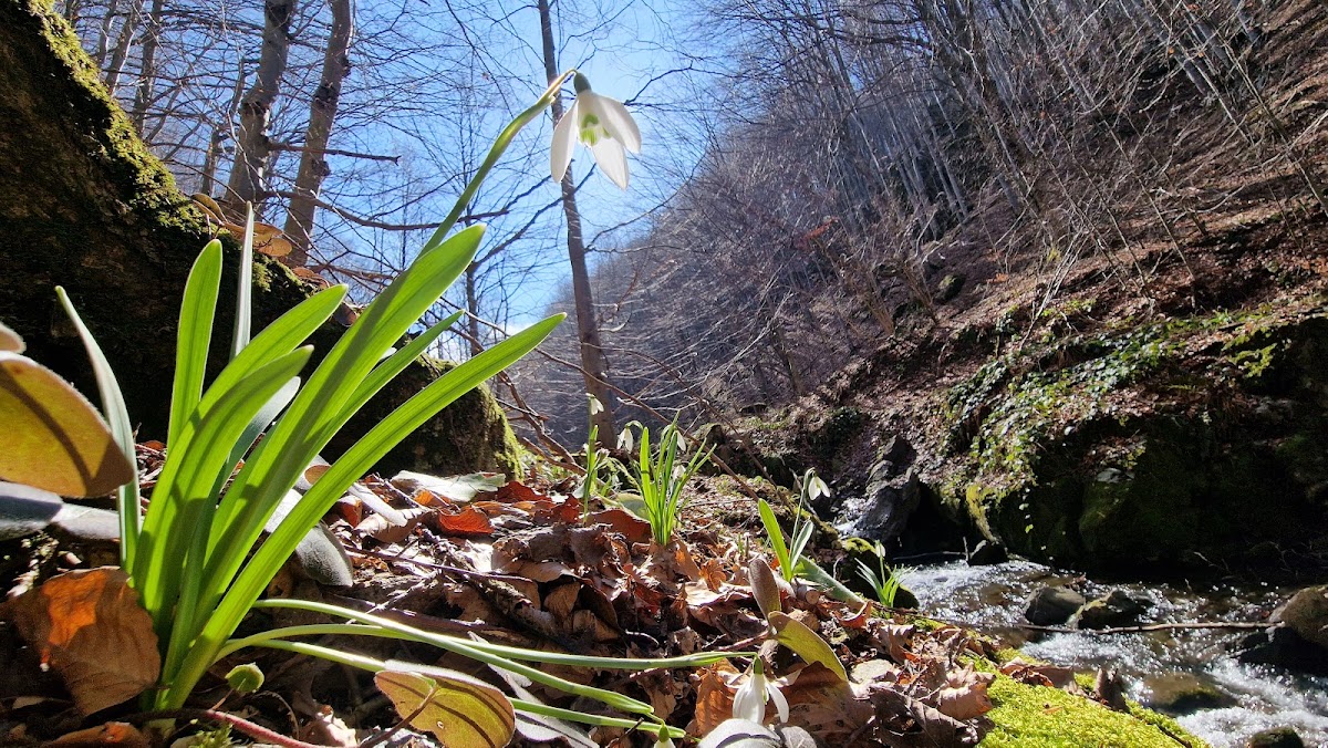 Wolfspass-Wasserfall - foto 3