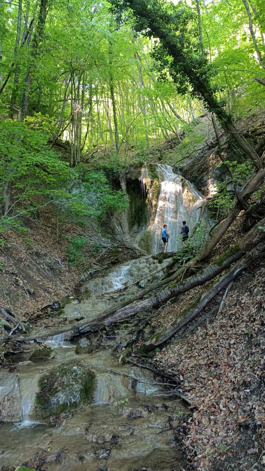 Dealu Mare