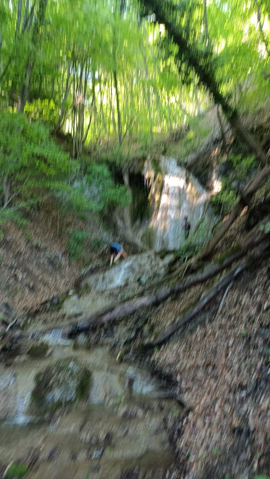 Cascada Dealu Mare - foto 2