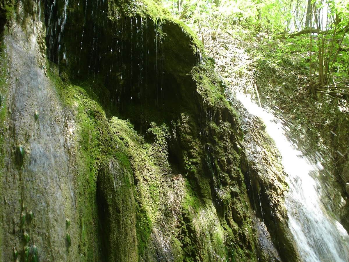 Cascada Dealu Mare - foto 3