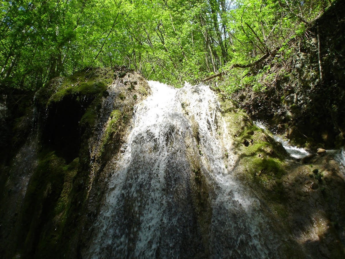 Cascada Dealu Mare - foto 4
