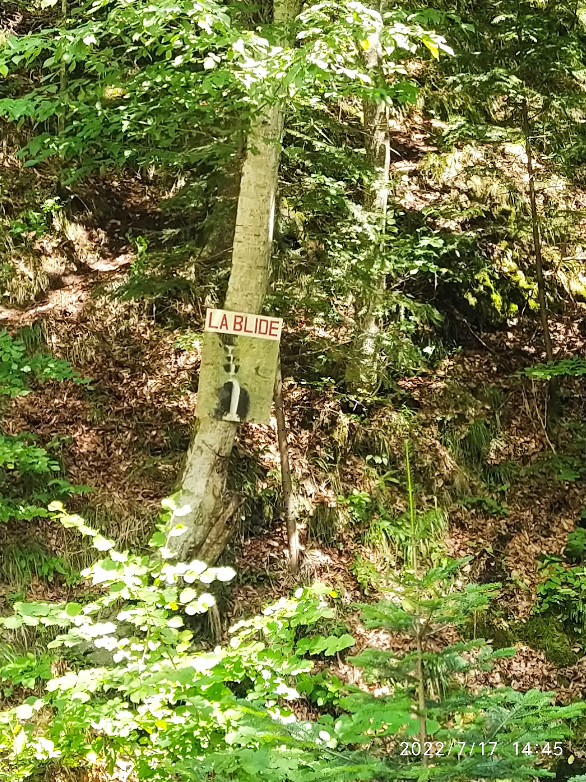 Cascada La Blide (Runcu) - foto 2