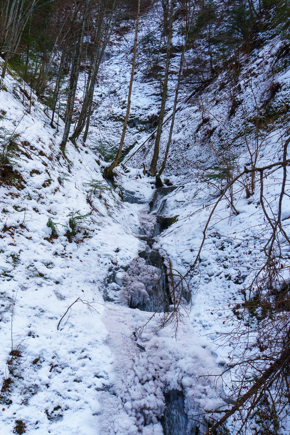 Cascada La Blide (Runcu) - foto 4
