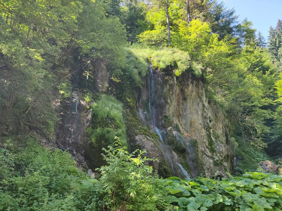 Cascada La Chișătoare - foto 3