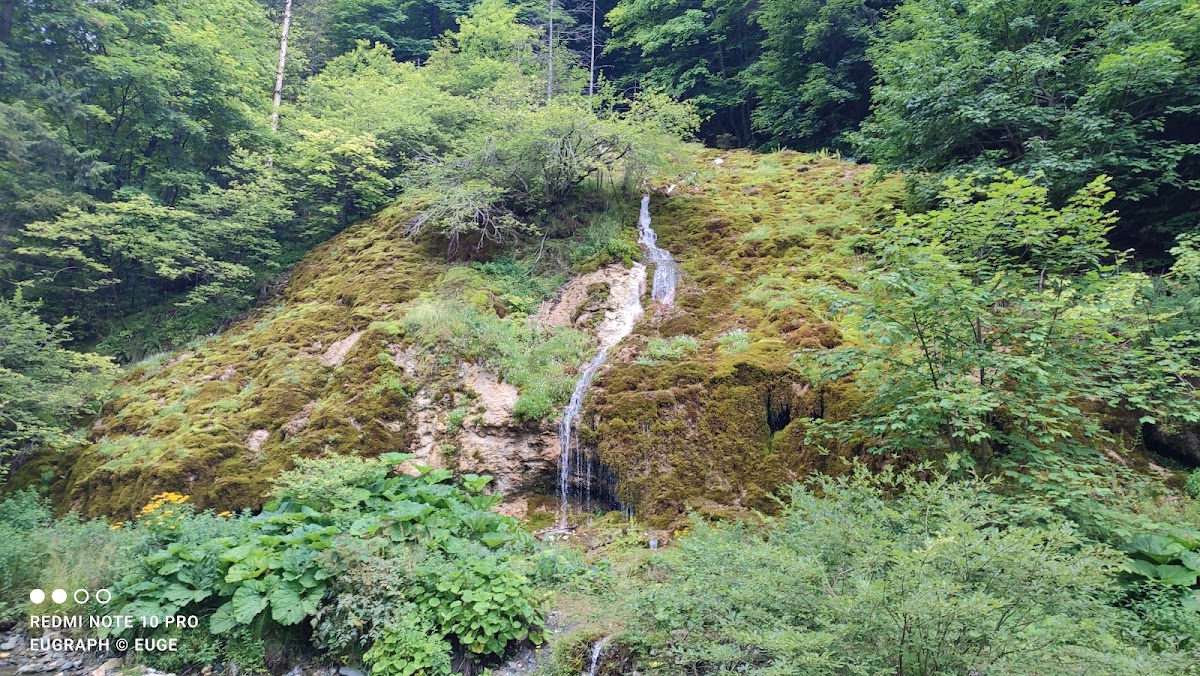 Cascada La Chișătoare - foto 4