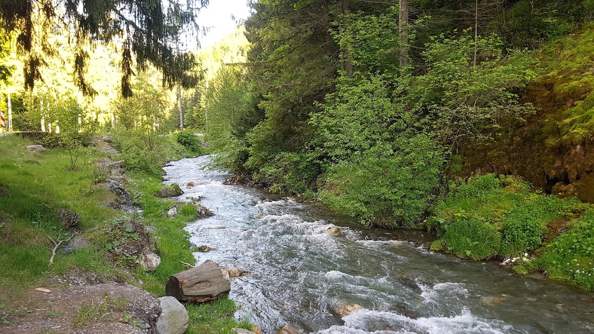 Cascada La Chișătoare - foto 5