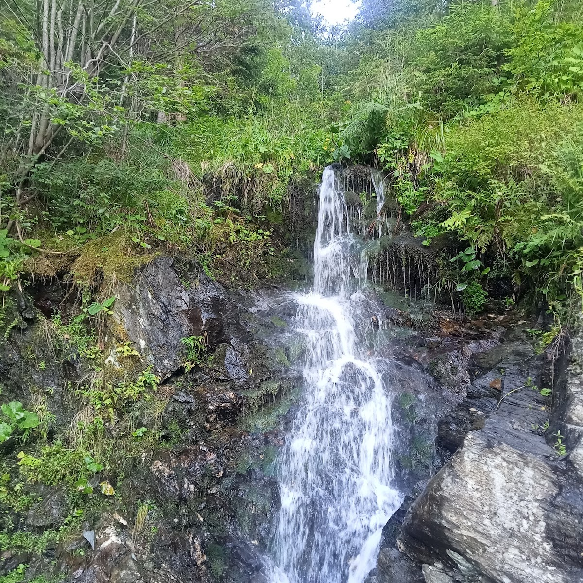 Cascada Măgura - foto 3