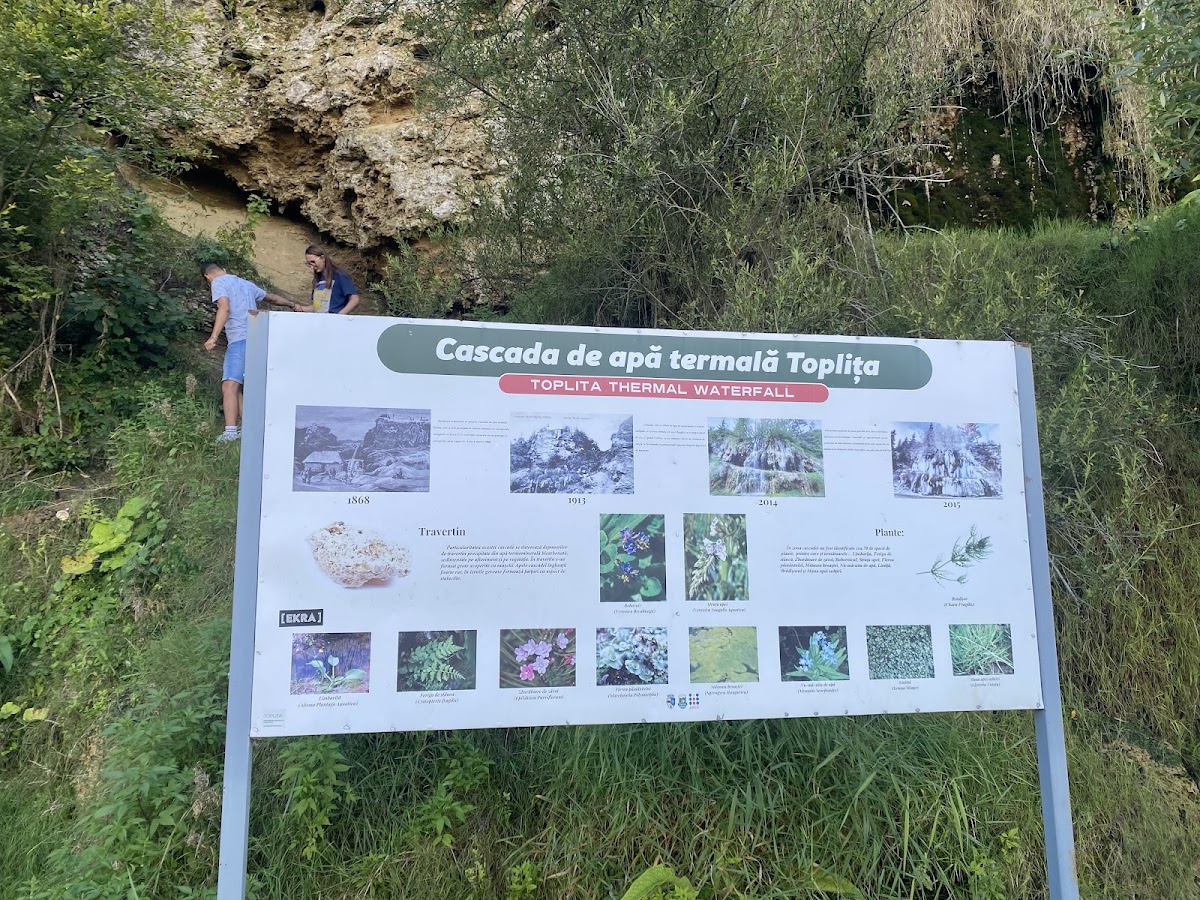 Cascada Mezotermală Toplița - foto 3