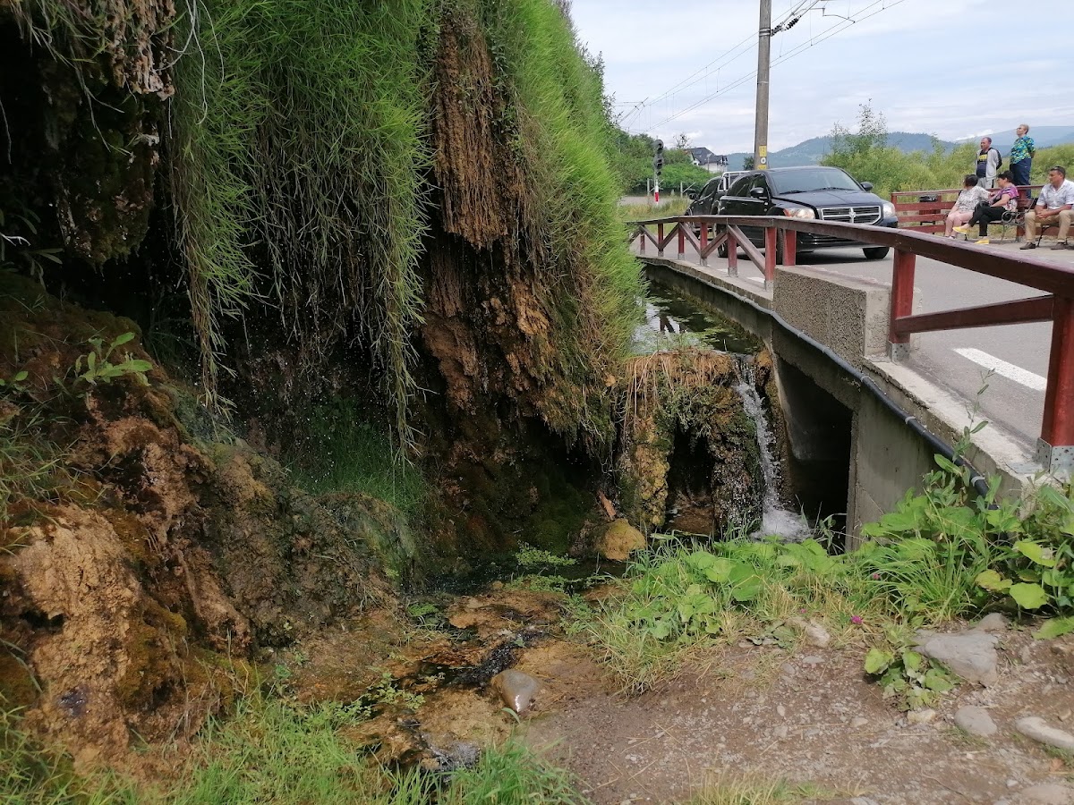 Cascada Mezotermală Toplița - foto 5