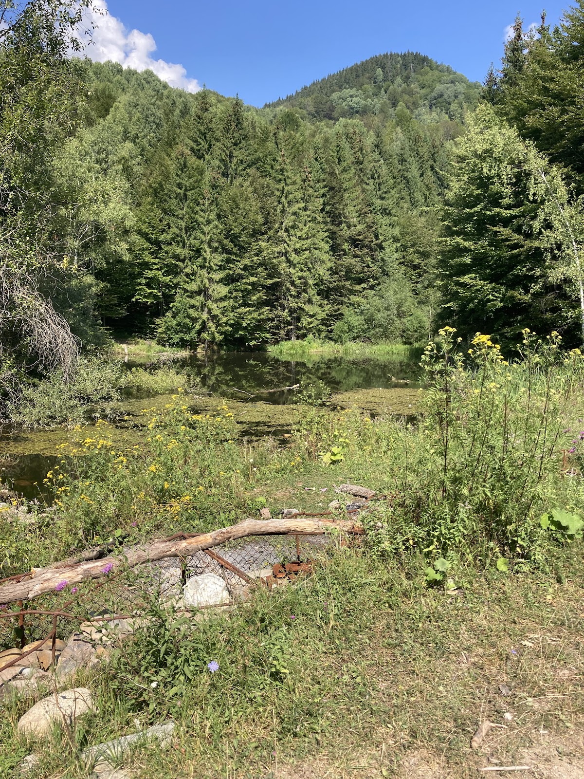 Cascades Mierlei - foto 5