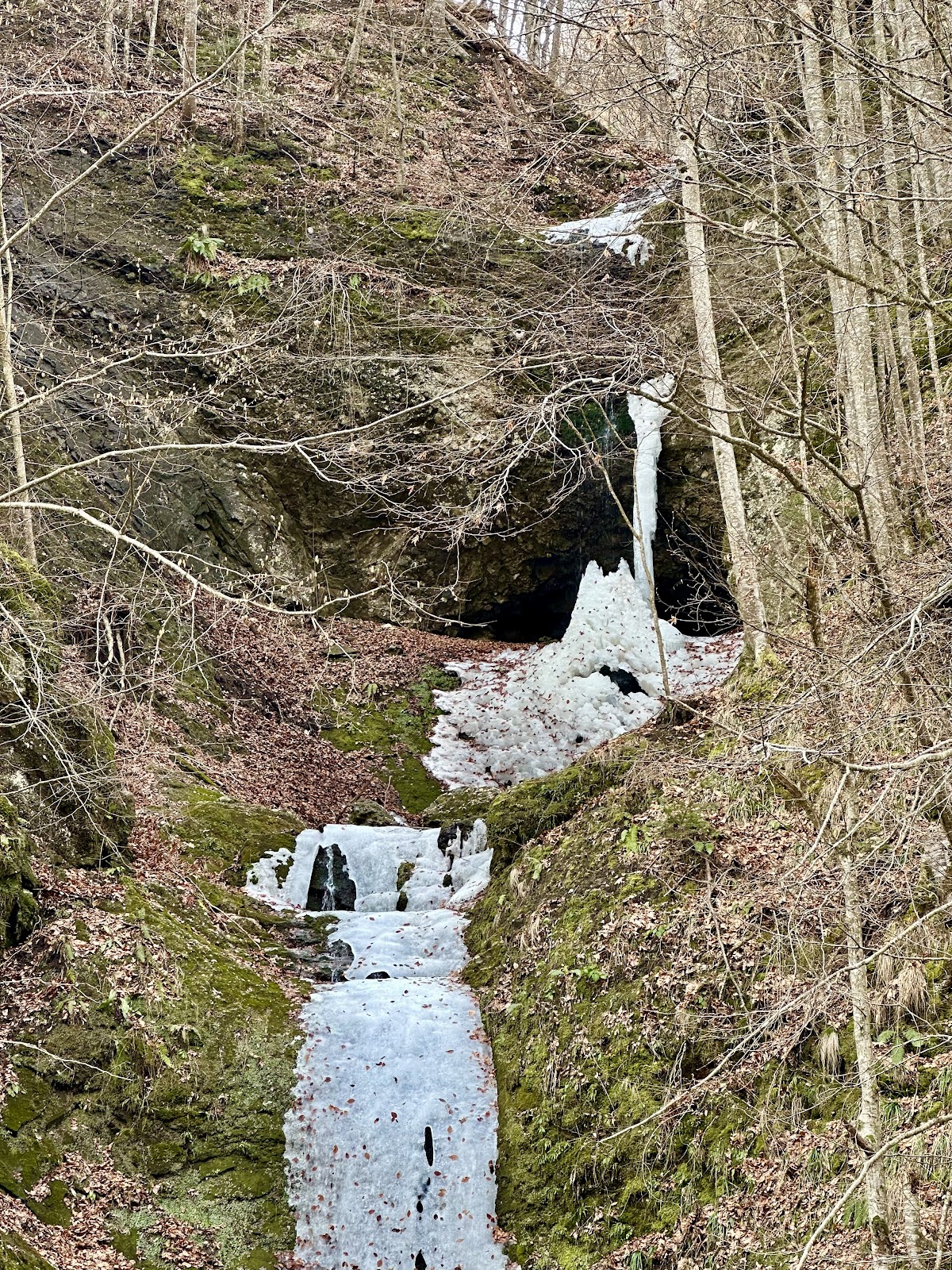 Cascada Moara Dracilor