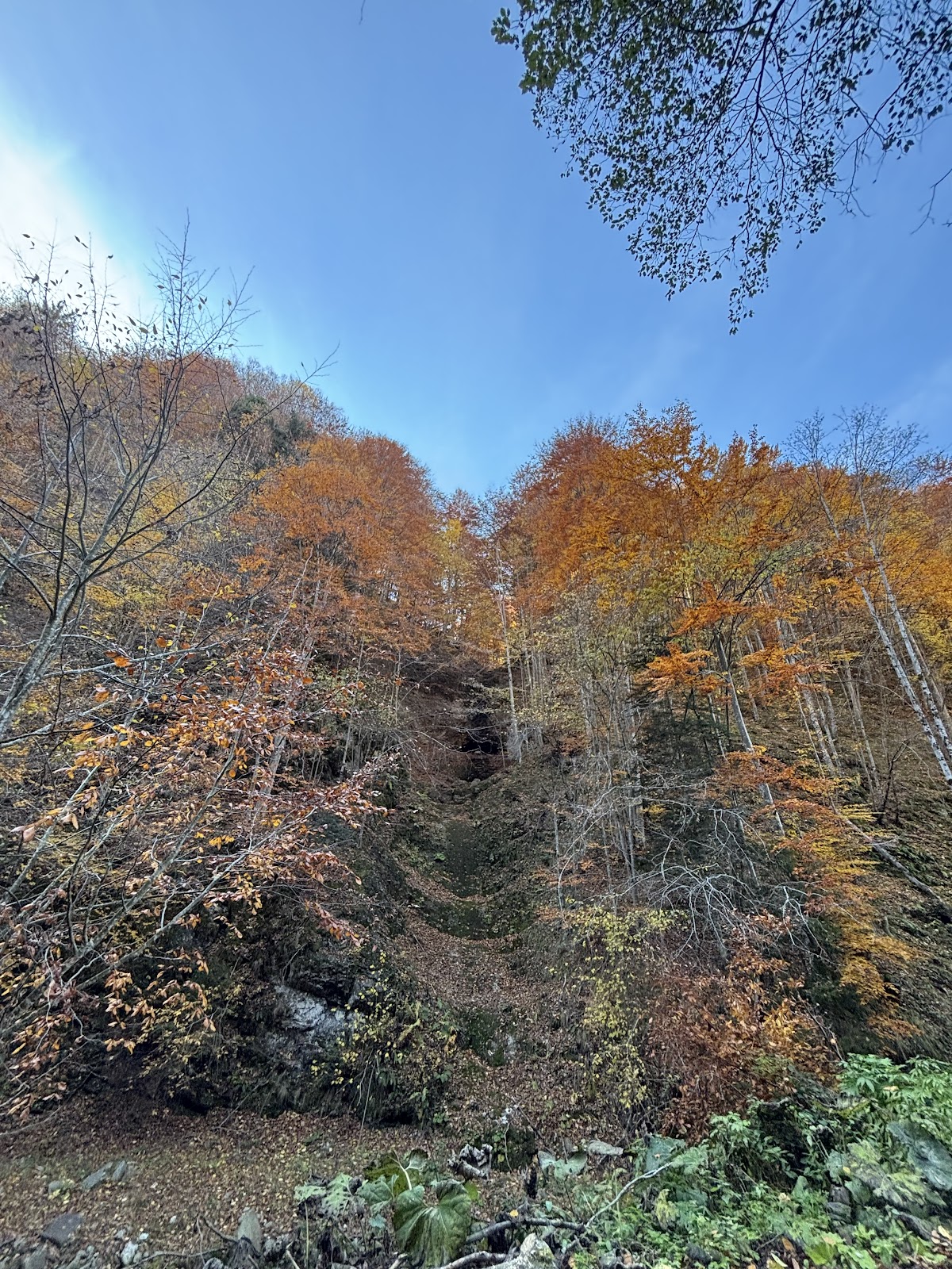 Cascada Moara Dracilor - foto 4
