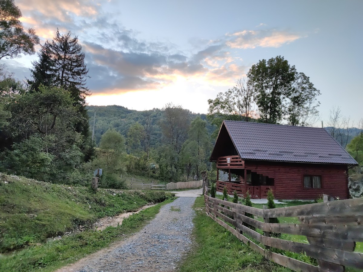 Cascades de Pișoaia - foto 5