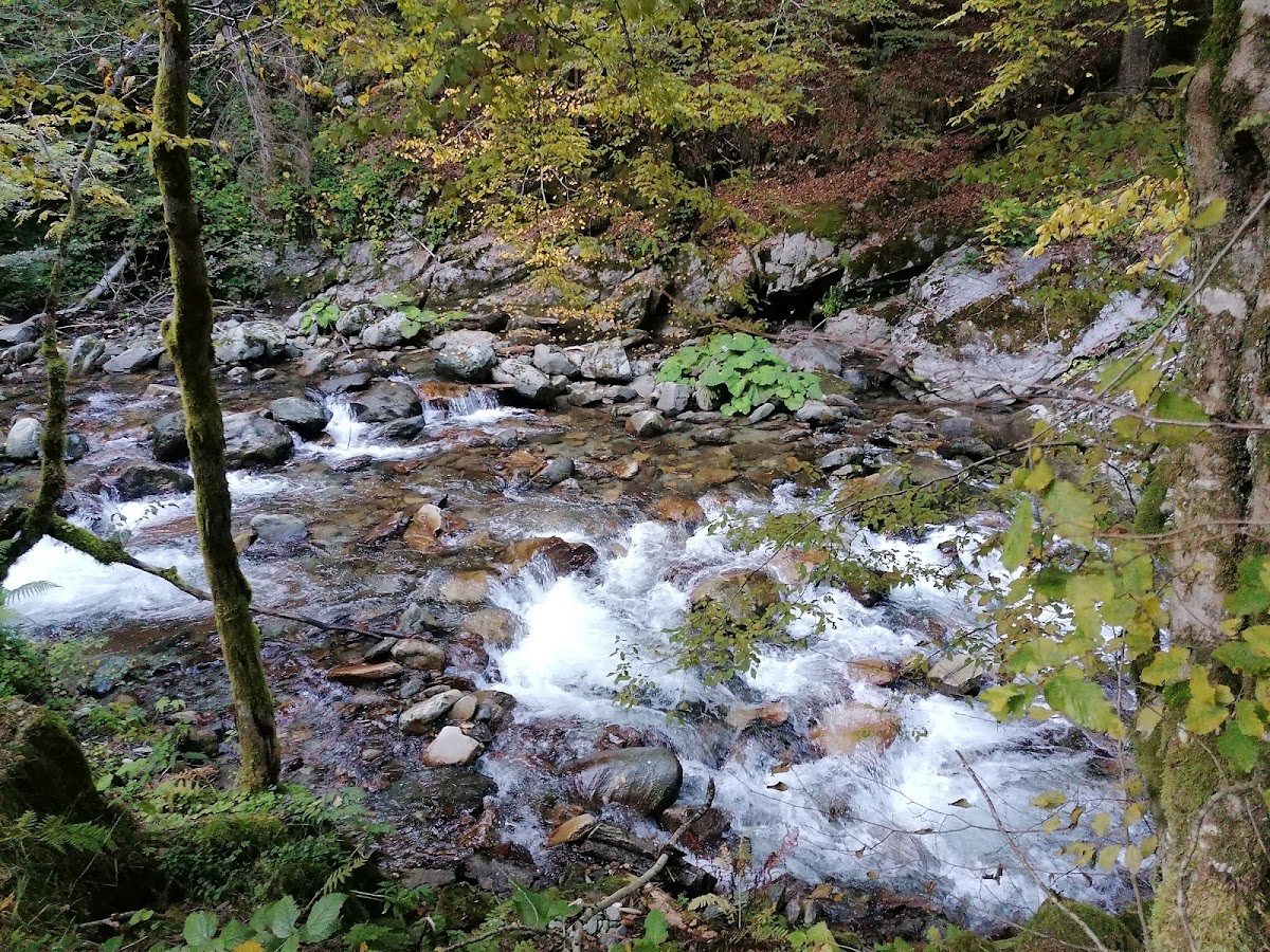 Cascada Ropote - foto 3
