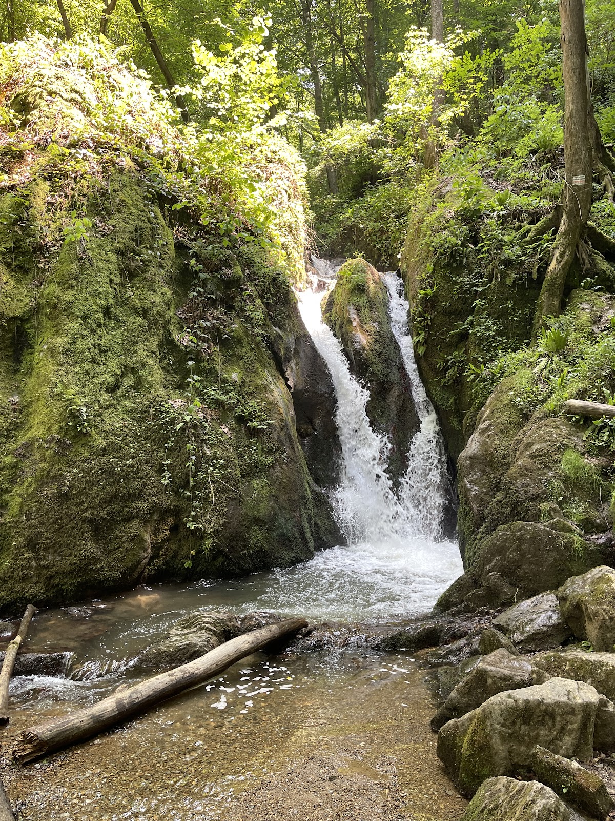 Cascada Șipot - foto 3