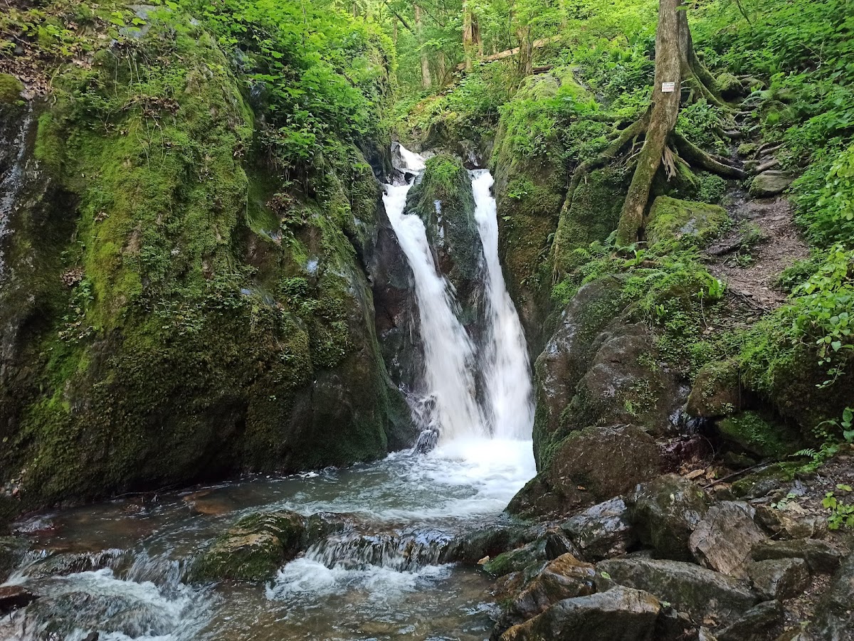 Cascada Şopot