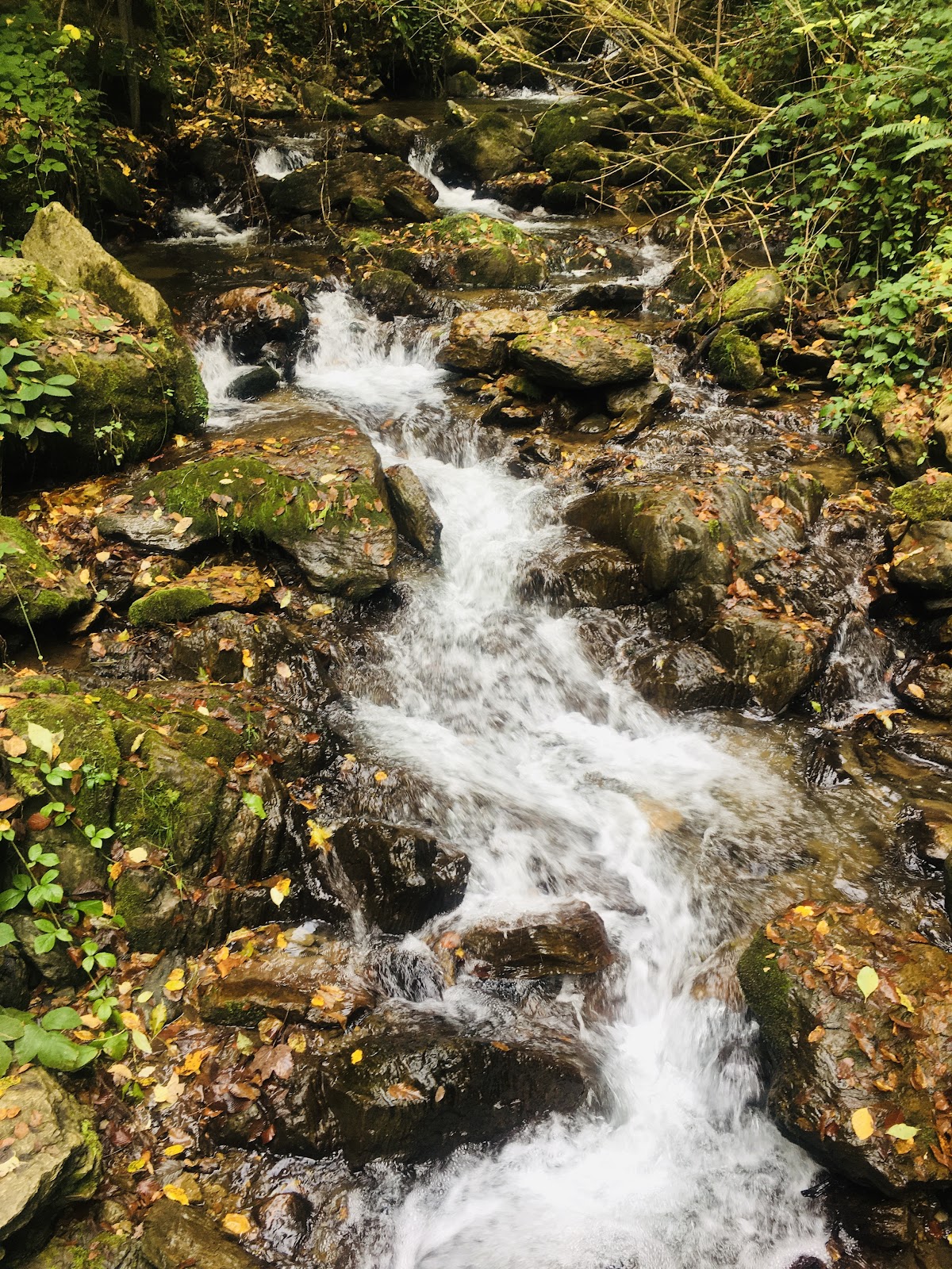 Cascada Şopot - foto 2