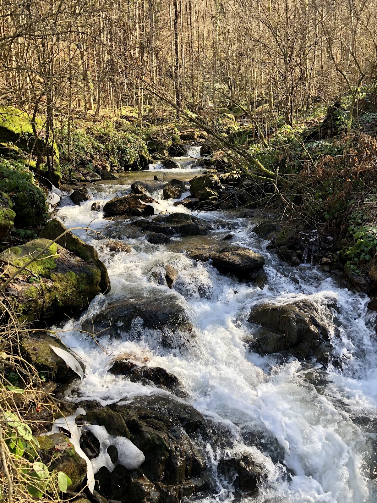 Cascada Şopot - foto 3