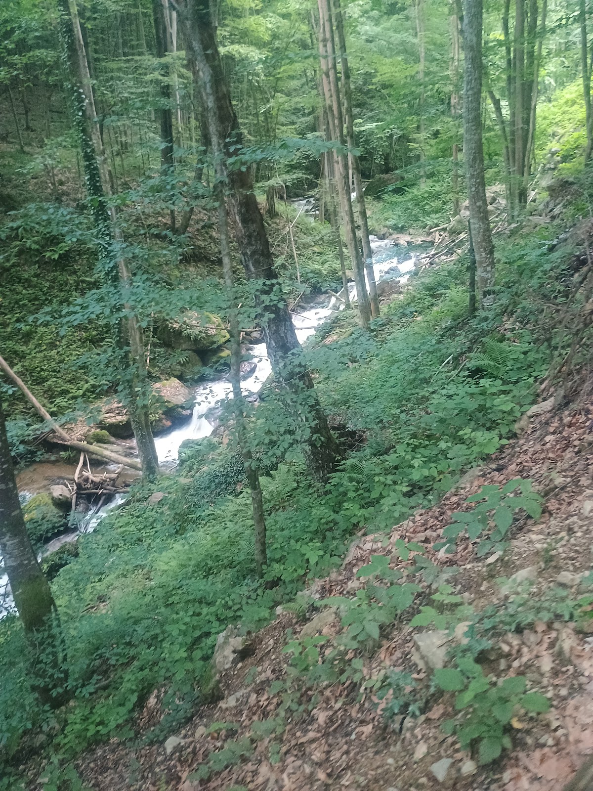 Cascada Şopot - foto 4