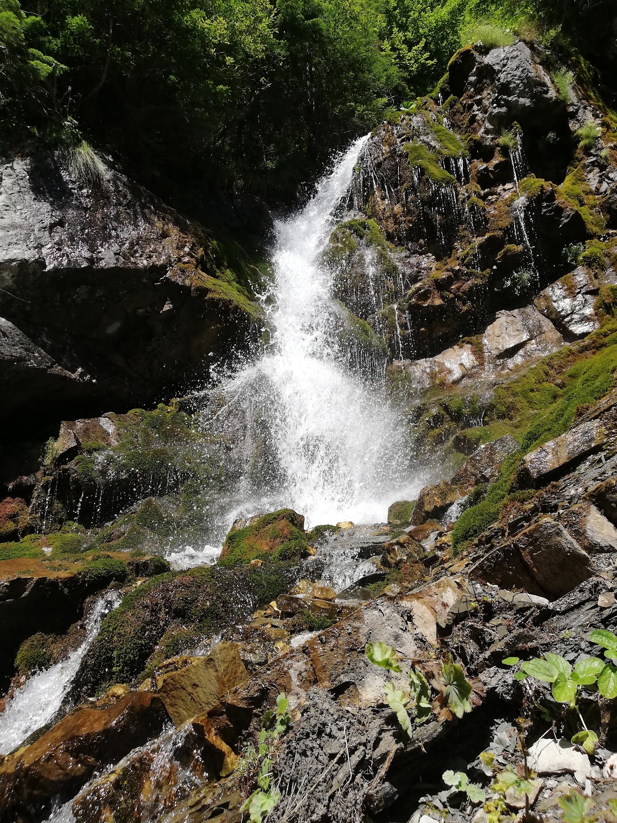 Cascada Urlătoarea (Bușteni) - foto 2