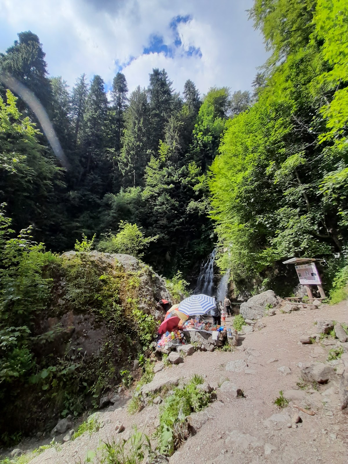 Cascada Urlătoarea (Bușteni) - foto 5