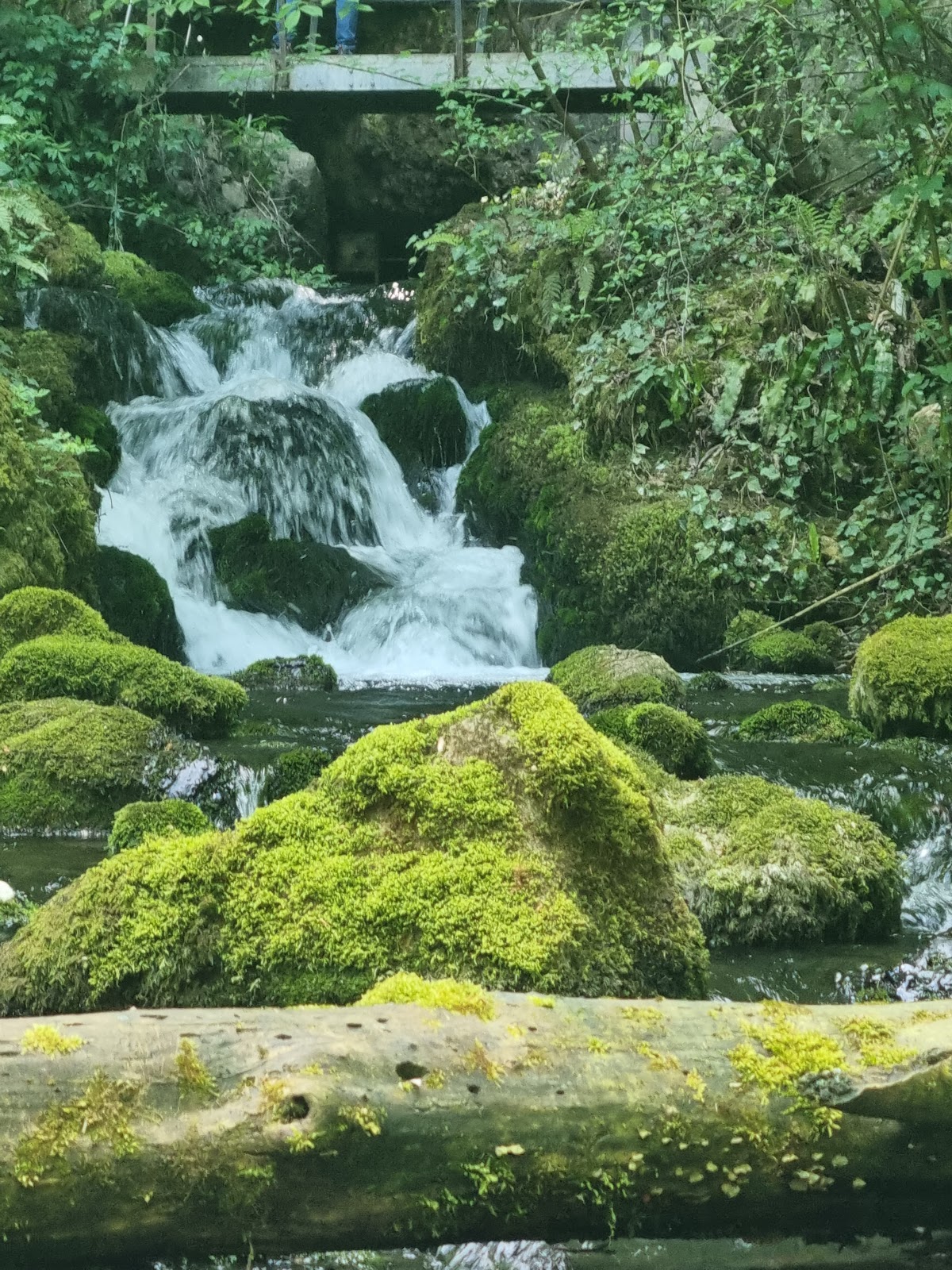 Cascada Vadu Crișului - foto 5