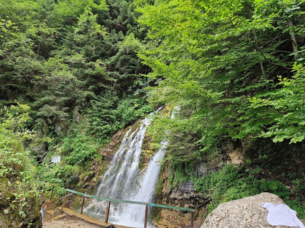 Cascada Valea Spumoasă - foto 2