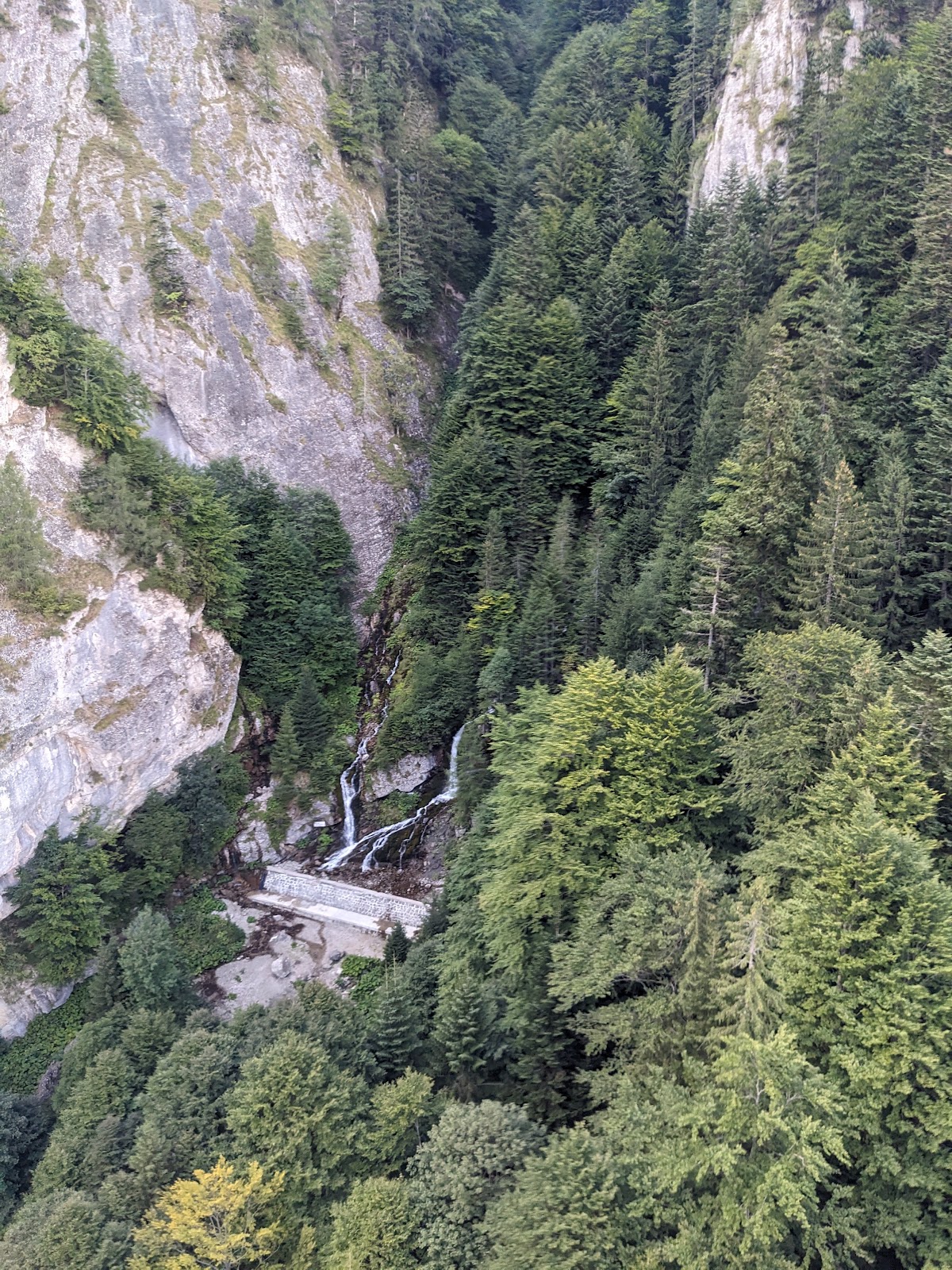 Cascada Valea Spumoasă - foto 3