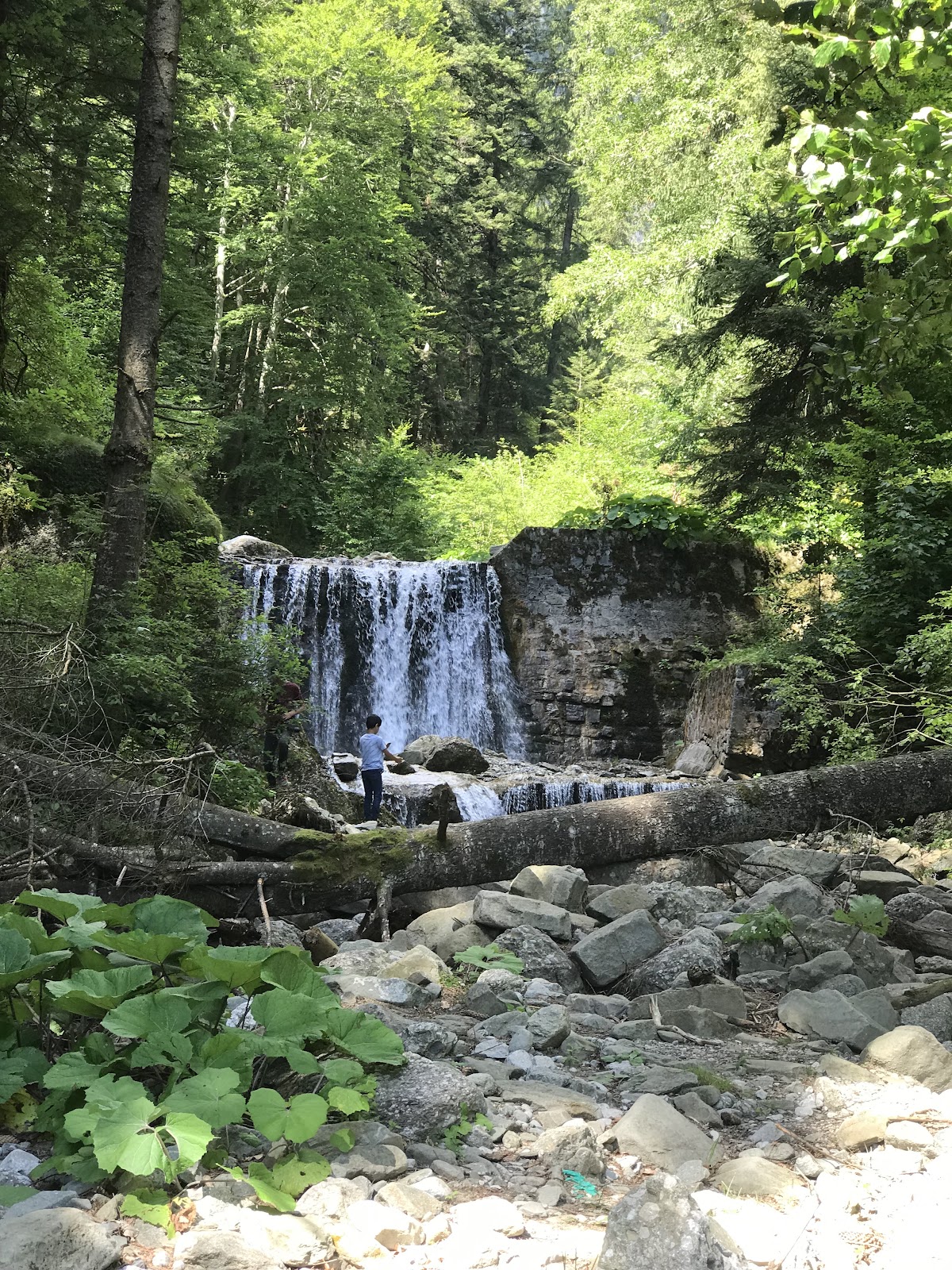 Cascada Valea Spumoasă - foto 4