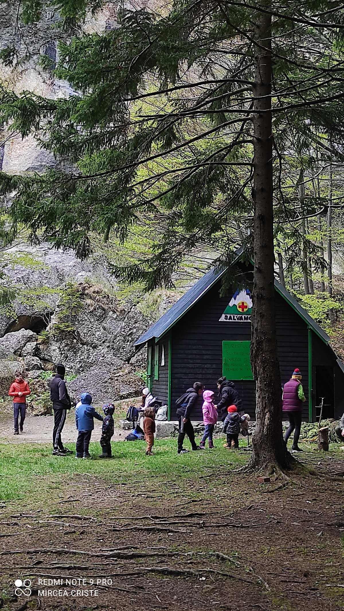 Cascada Valea Spumoasă - foto 5