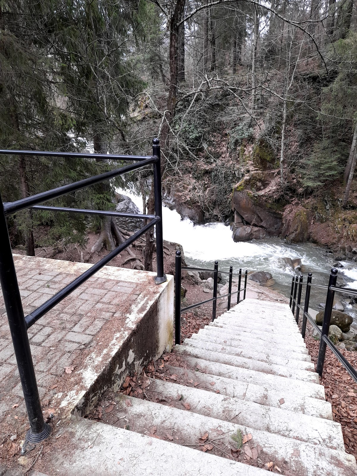 Cascades de Valea Zânelor - foto 3