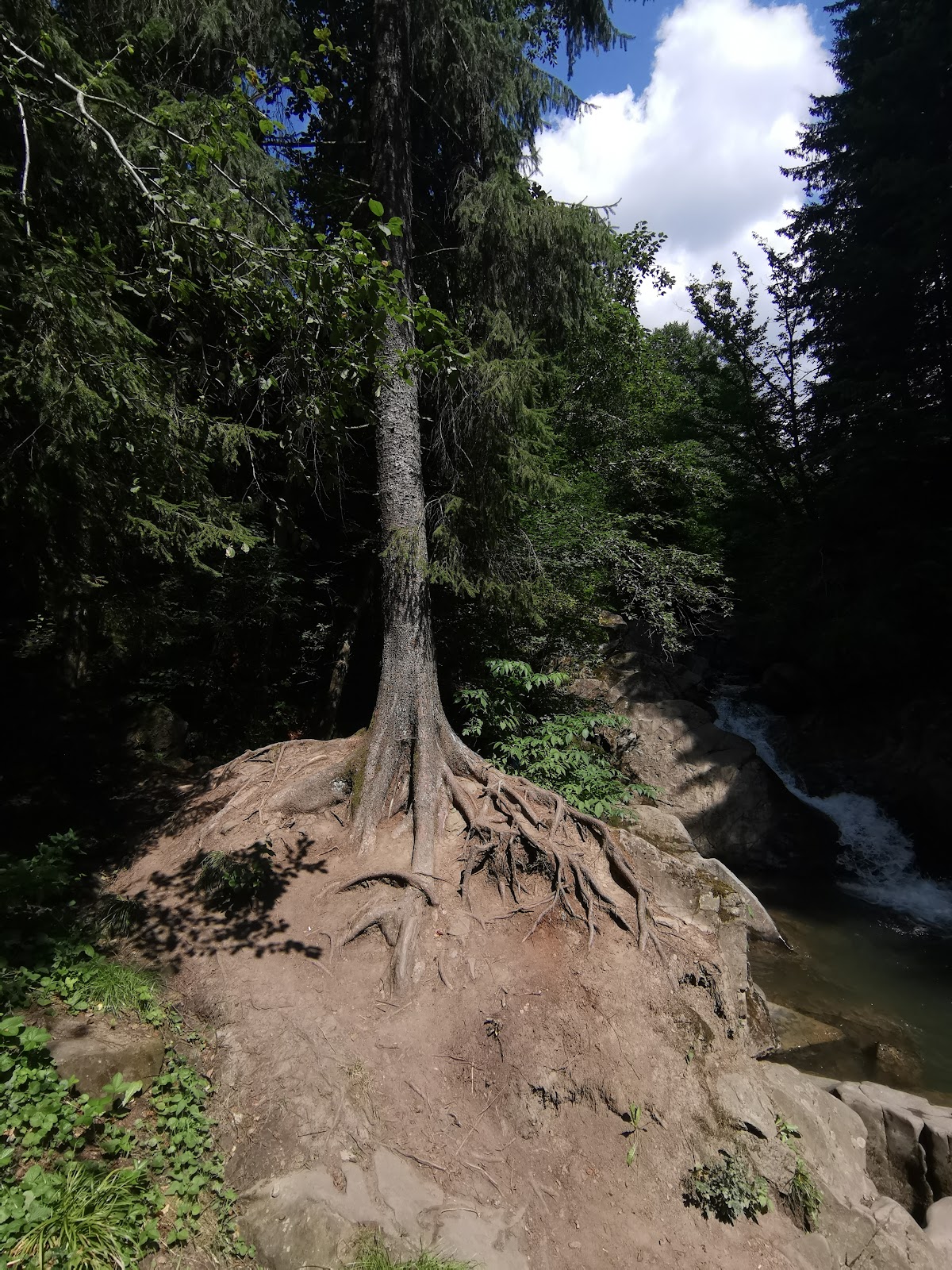Cascades de Valea Zânelor - foto 5