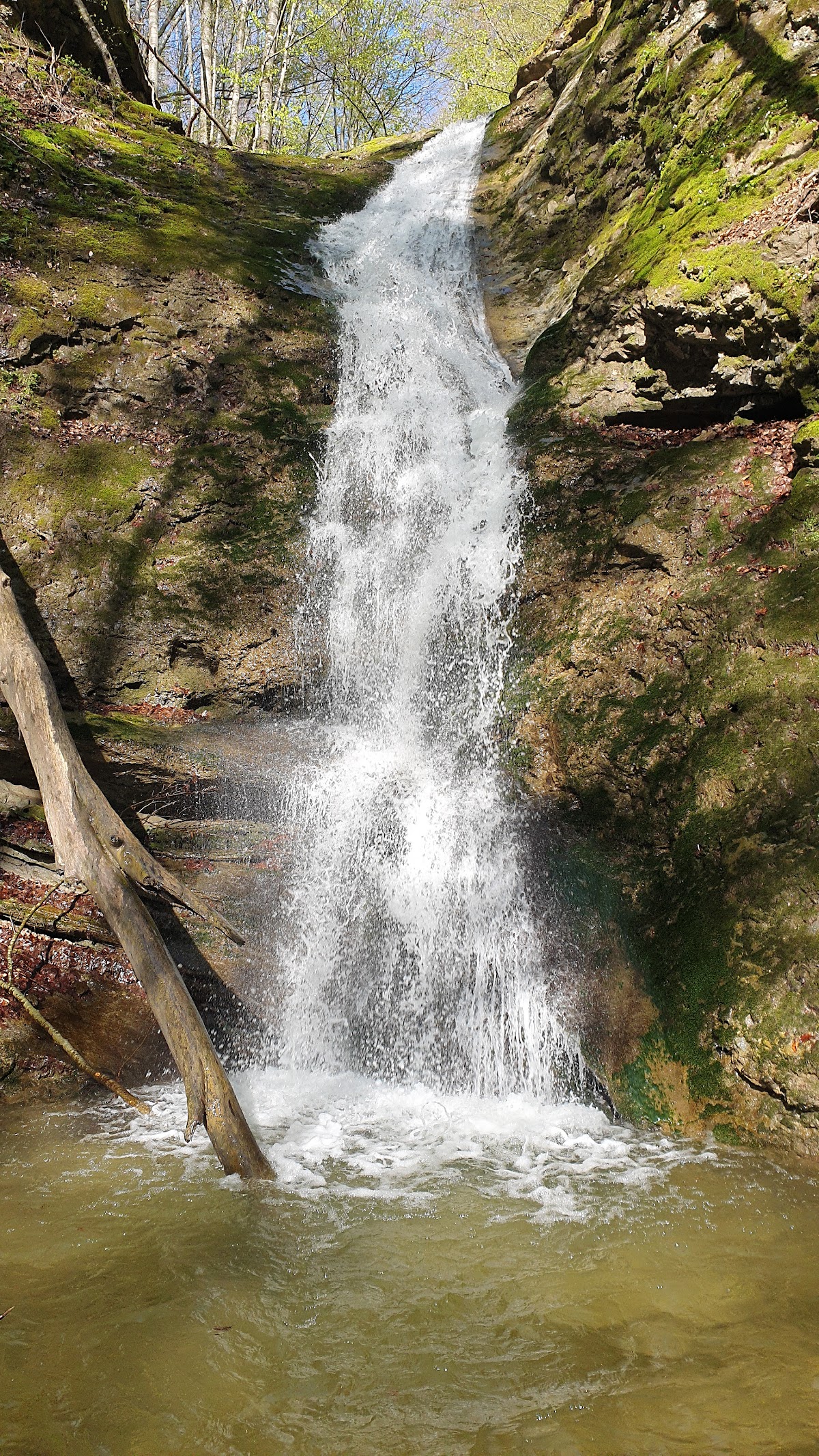 Cascata Vâlsan - foto 5
