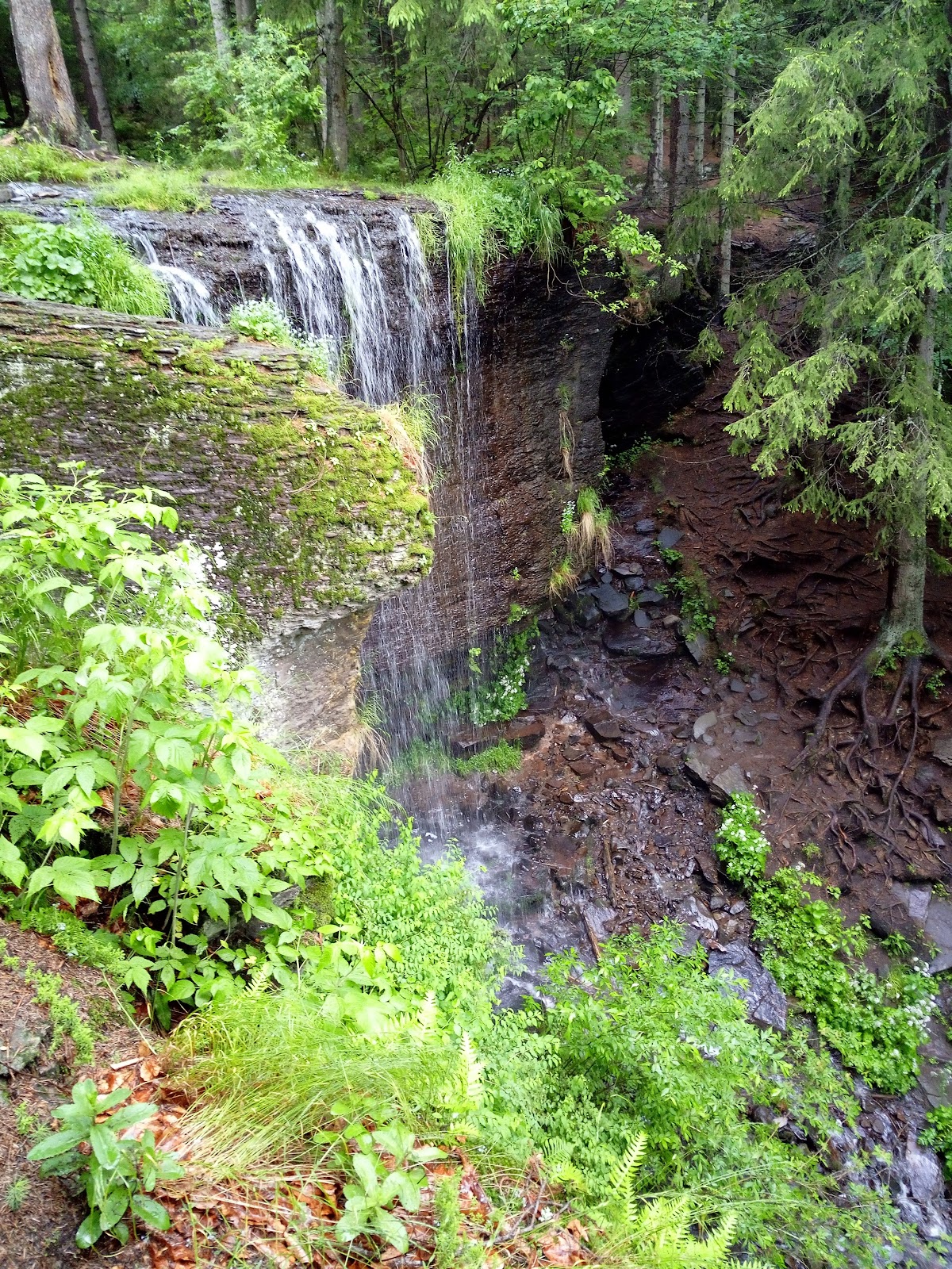 Cascada Vărșag - foto 2