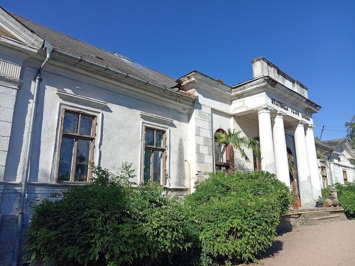 Castelul Bela Fay din Simeria