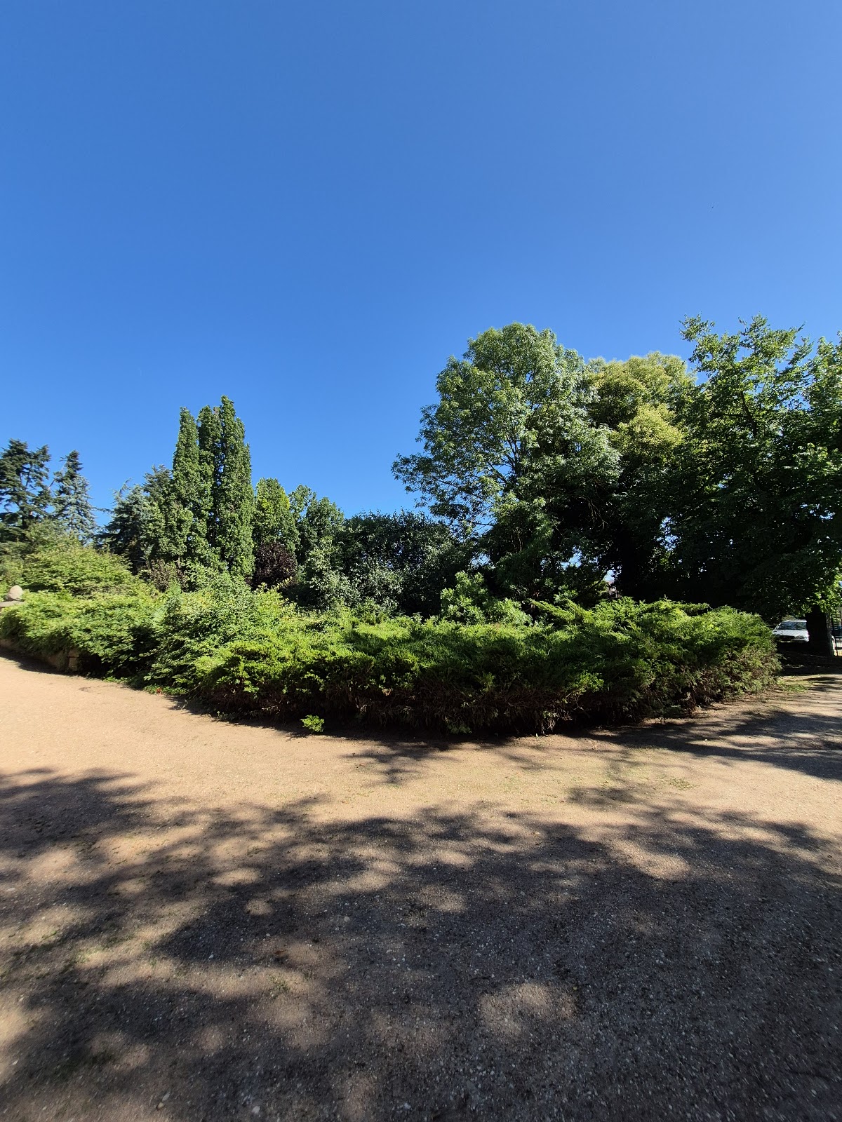 Castelul Bela Fay din Simeria - foto 4