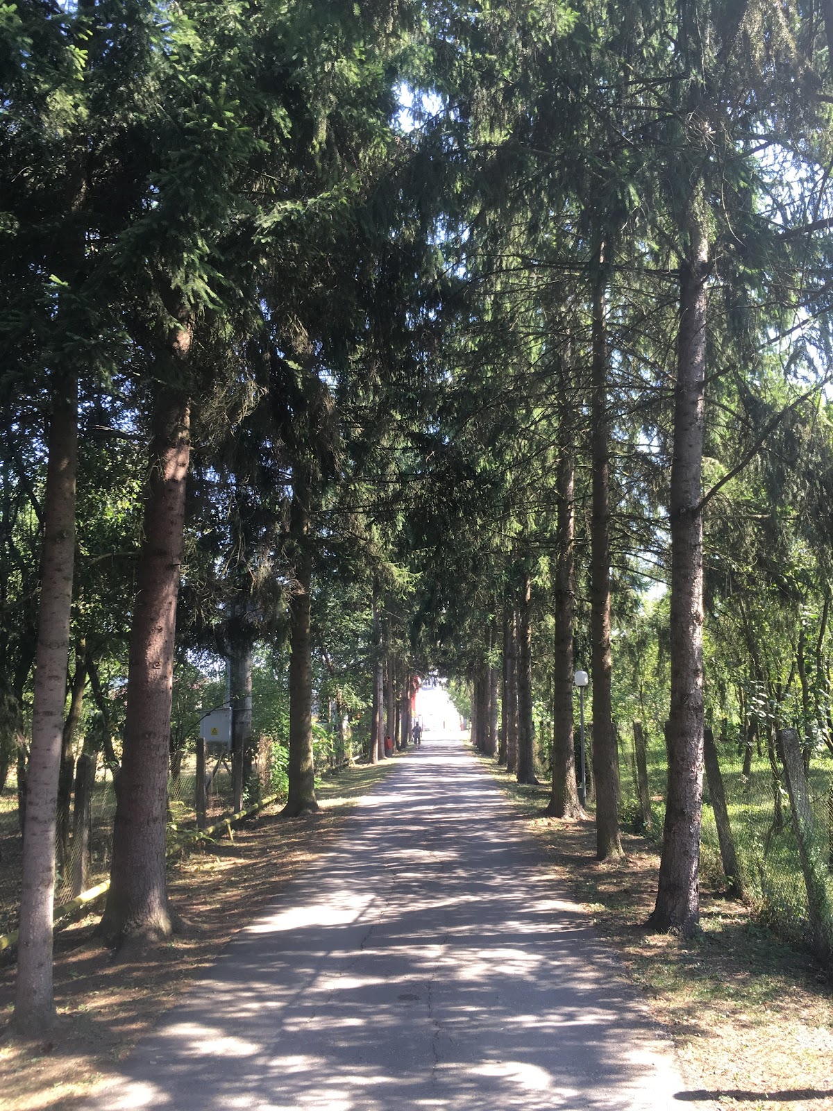 贝特伦城堡 - foto 4