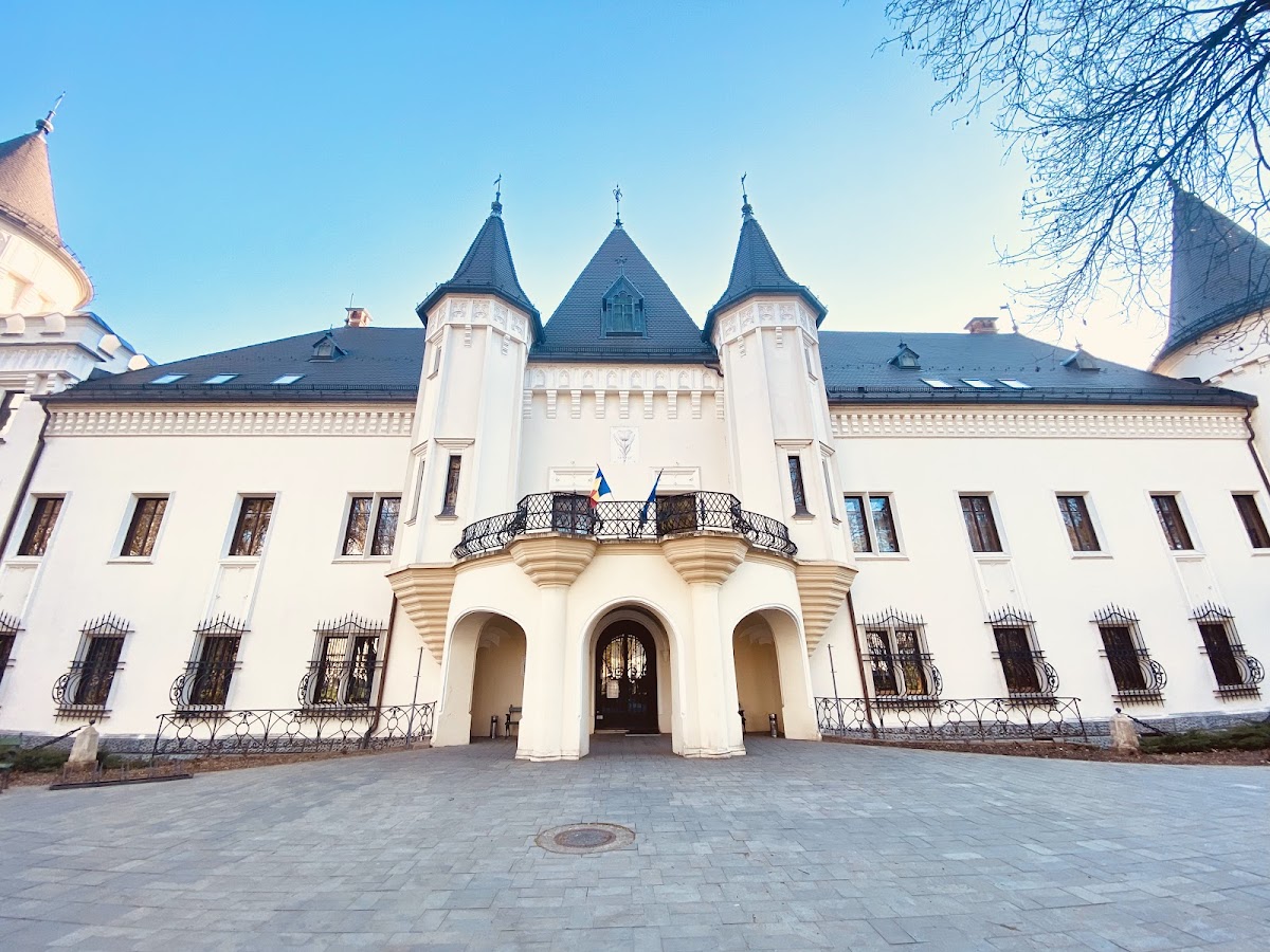 Castelul Károly