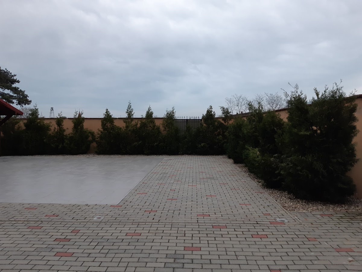 Castelul Kövér-Appel - foto 4