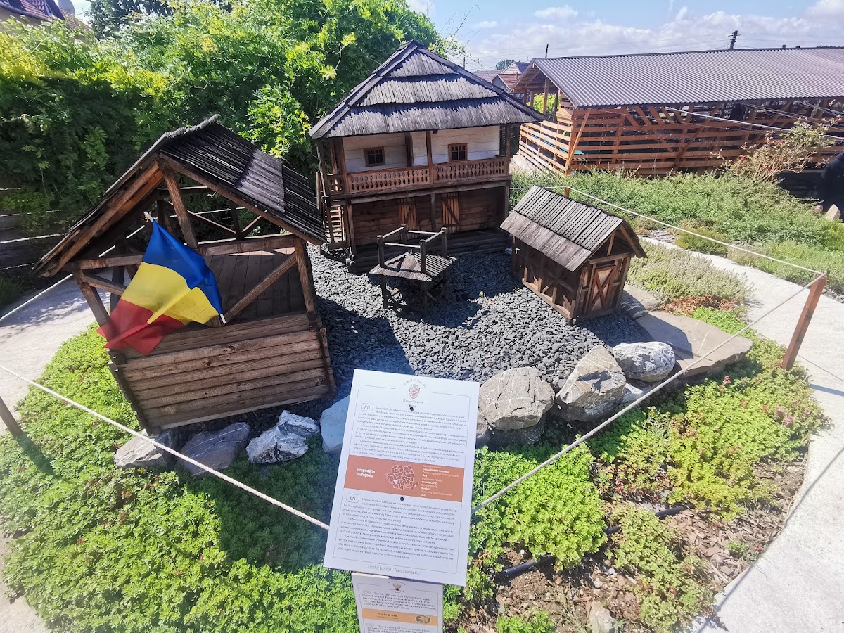 Castello dei Lupi - Transilvania - foto 3