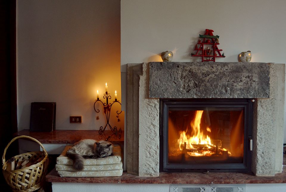 Schloss Maria - foto 4