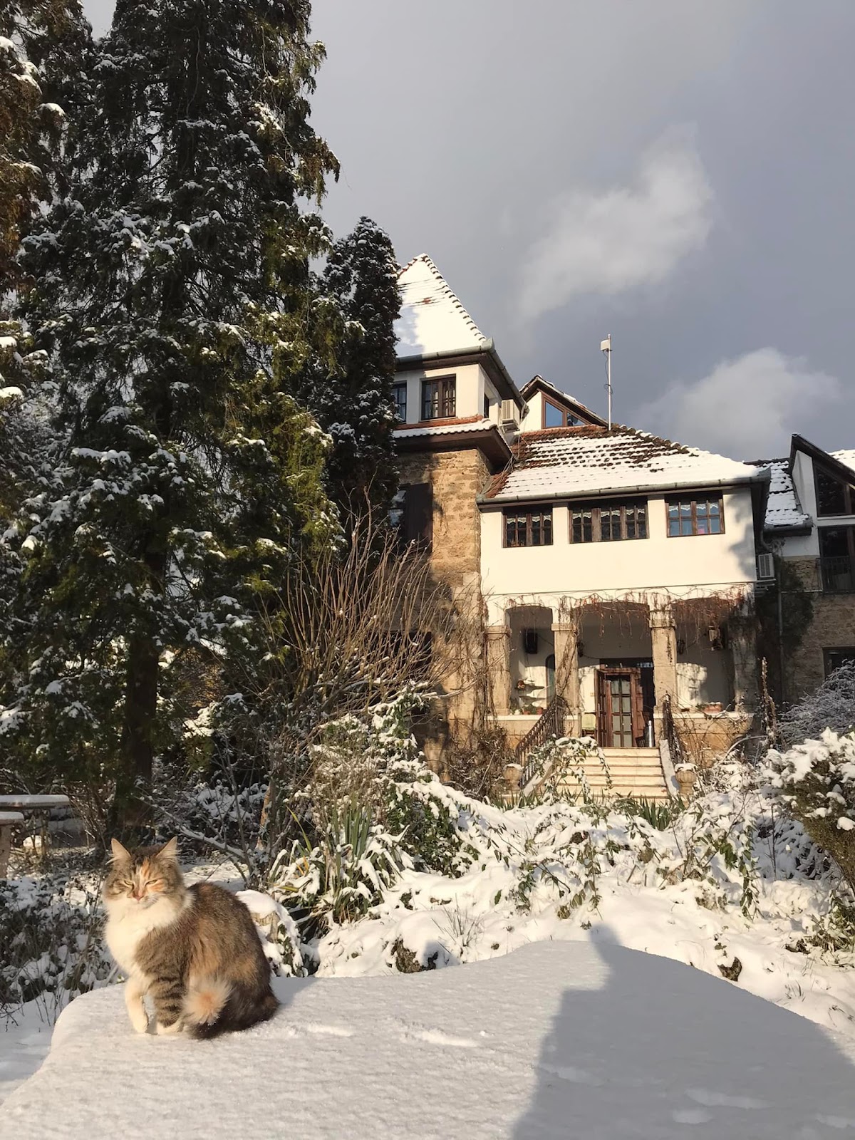 Schloss Maria - foto 5