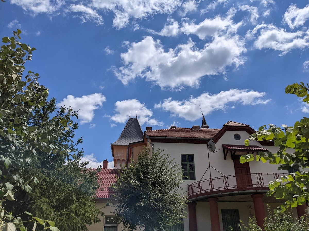 Castelul Purgly - foto 3